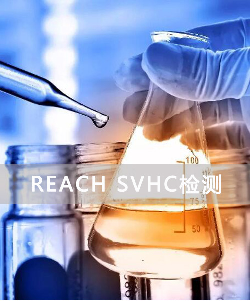 REACH SVHC检测